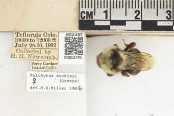 Media type: image;   Entomology 813745 Aspect: labels